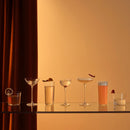 Savage Set of 2 Pony Glasses by NUDE USA