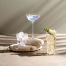 Savage Set of 2 Coupetini Glasses by NUDE USA