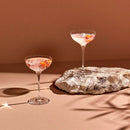 Terroir Set of 2 Coupe Glasses by NUDE USA
