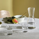 Lady Water Carafe