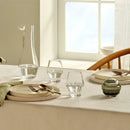 Beak Set of 2 Glasses by NUDE USA