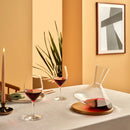 Terroir Set of 2 Red Wine Glasses 590 cc by NUDE USA