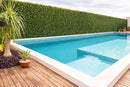 Sample Panel – Natural Boxwood Green Wall (Small Sample) by Designer Plants USA