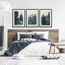 Mountain Forest. USA Wilderness Wall Art Set. Rampart Ridge by Wall Art Set