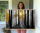 Nature Misty Foggy Autumn Forest Canvas Wall Art Print