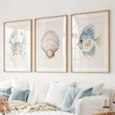 Watercolor Light Blue Nautical 3 Piece Art. Crab, Shell, Fish by Wall Art Set