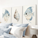 Trendy Nautical Wall Art Set of 3. Seashell and Fishes Posters by Wall Art Set