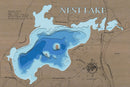 Nest (Kandiyohi)