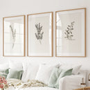 Vintage Floral 3 Piece Wall Art. Rustic Botanical Posters by Wall Art Set