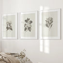 Antique Floral Prints 3 Piece Wall Art Decor by Wall Art Set
