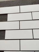 Thassos White Marble 12" x 12" Polished Tile