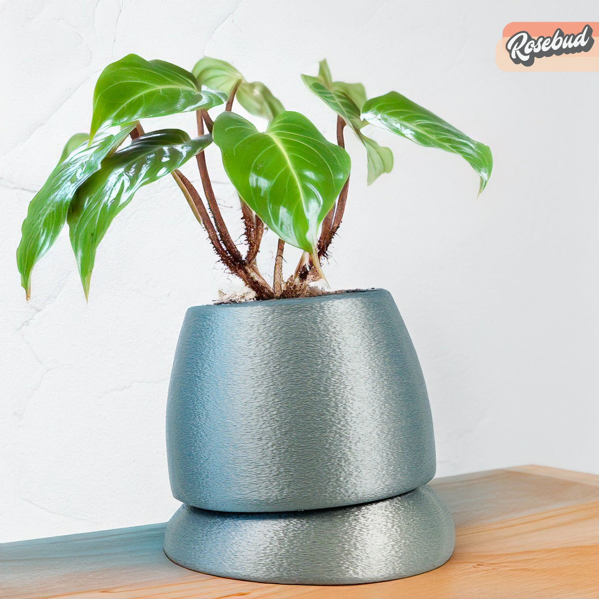 Nubium Planter, photo 8 of 16
