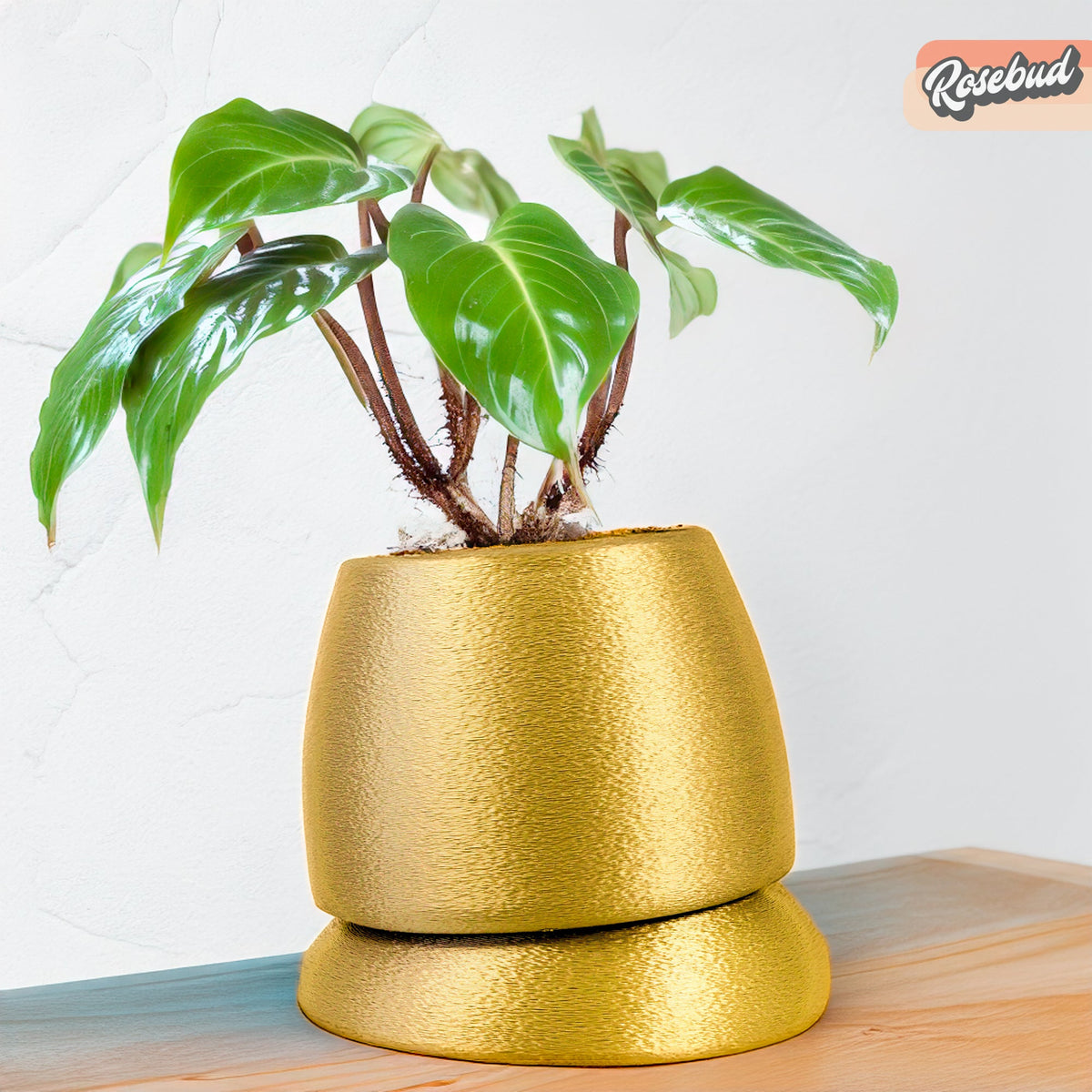 Nubium Planter, photo 10 of 16