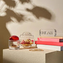 Nest Candy Box Large by NUDE USA