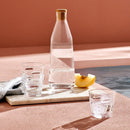 Ahoy Set of 4 Non-Slip Multipurpose Glass by NUDE USA