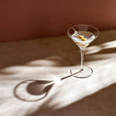 Vintage Set of 2 Martini Glasses by NUDE USA