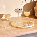 Savage Set of 2 Coupe Glasses by NUDE USA
