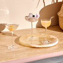 Savage Set of 2 Coupetini Glasses