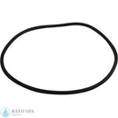 Aladdin O-100 [Sta-Rite Vertical Sand & DE Filter (DES25, HRS16-01)]