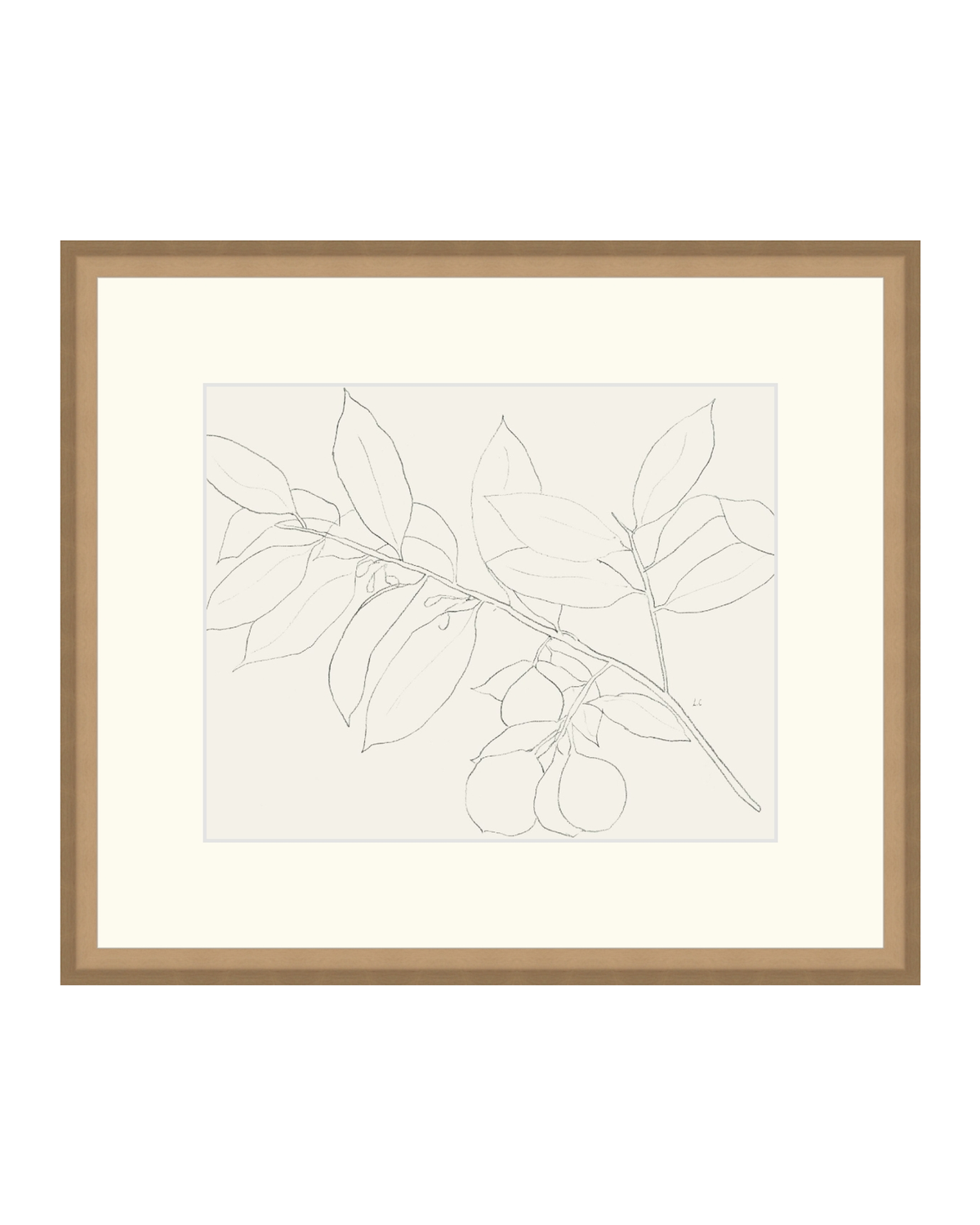 Lemon Branch Drawing, photo 37 of 42