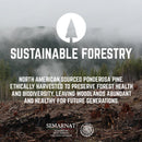 RESTORE Trail Brown Solid Wood Desk Tabletop