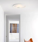 OLEV Overfly Plus Ceiling  Light