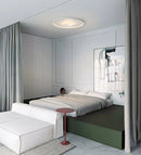 OLEV Overfly Plus Ceiling  Light