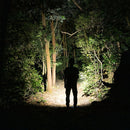 OLIGHT ARKFELDPWGMGCW Arkfeld Flat Flashlight with Green Laser & White Light - Pinwheel Gunmetal Grey