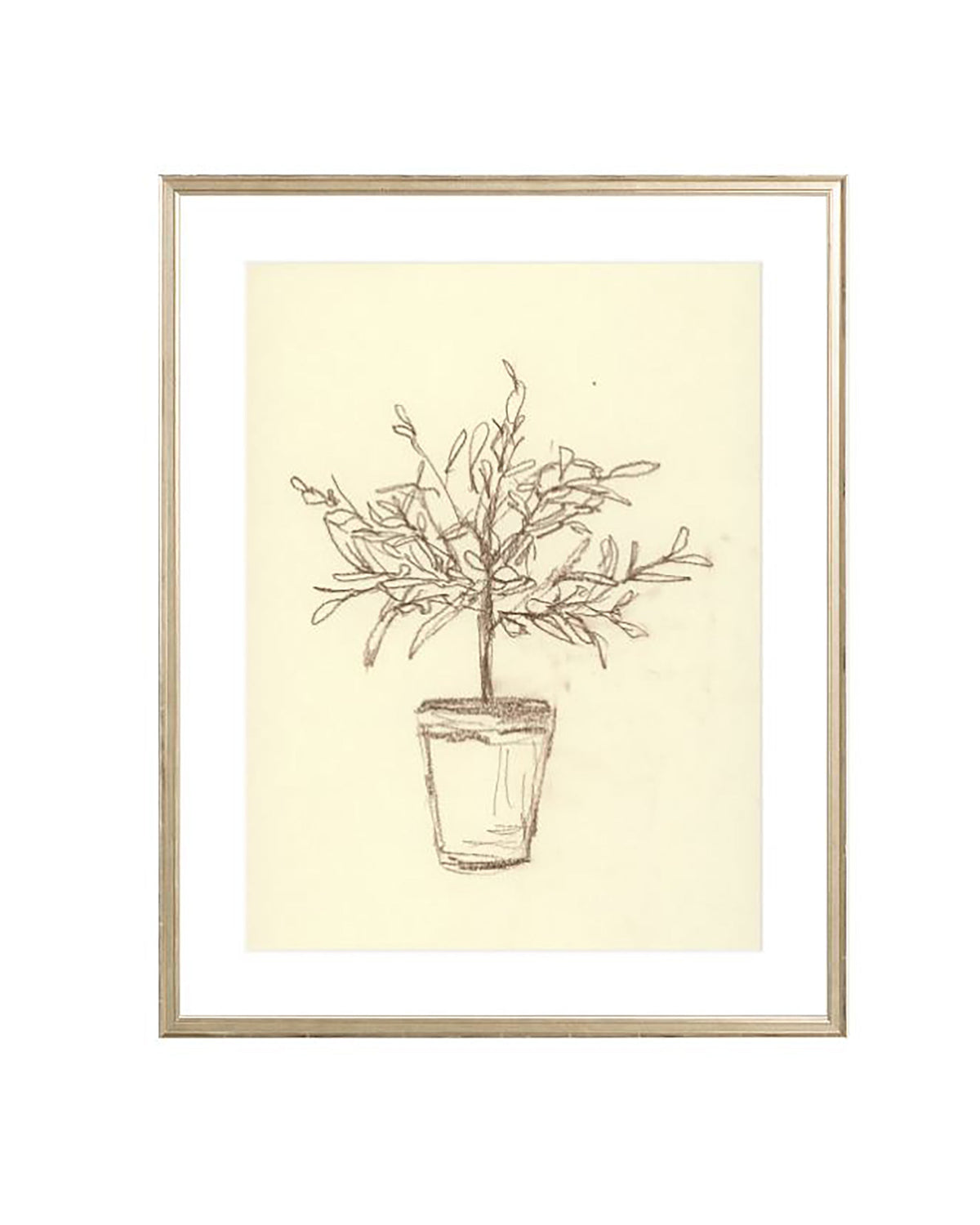 Olive Tree Sketch, photo 3 of 12
