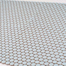 Light Turquoise 12x12 Glossy Penny Round Porcelain Mosaic Tile (10 pack, 9.87 sq ft/case) - Sample