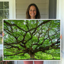 Oak Tree Wall Art Print, Forest Canvas Wall Art for Home and