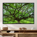 Oak Tree Wall Art Print, Forest Canvas Wall Art for Home and