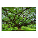 Oak Tree Wall Art Print, Forest Canvas Wall Art for Home and