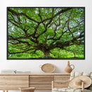 Oak Tree Wall Art Print, Forest Canvas Wall Art for Home and