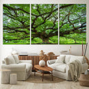 Oak Tree Wall Art Print, Forest Canvas Wall Art for Home and