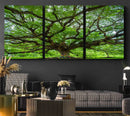 Oak Tree Wall Art Print, Forest Canvas Wall Art for Home and