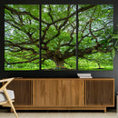 Oak Tree Wall Art Print, Forest Canvas Wall Art for Home and