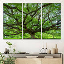 Oak Tree Wall Art Print, Forest Canvas Wall Art for Home and