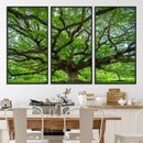 Oak Tree Wall Art Print, Forest Canvas Wall Art for Home and