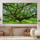 Oak Tree Wall Art Print, Forest Canvas Wall Art for Home and