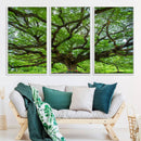Oak Tree Wall Art Print, Forest Canvas Wall Art for Home and