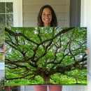 Oak Tree Wall Art Print, Forest Canvas Wall Art for Home and