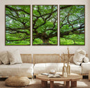 Oak Tree Wall Art Print, Forest Canvas Wall Art for Home and