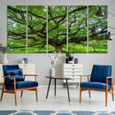 Oak Tree Wall Art Print, Forest Canvas Wall Art for Home and
