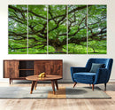 Oak Tree Wall Art Print, Forest Canvas Wall Art for Home and