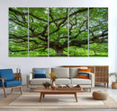 Oak Tree Wall Art Print, Forest Canvas Wall Art for Home and