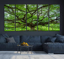 Oak Tree Wall Art Print, Forest Canvas Wall Art for Home and