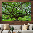Oak Tree Wall Art Print, Forest Canvas Wall Art for Home and