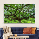 Oak Tree Wall Art Print, Forest Canvas Wall Art for Home and