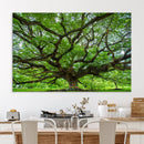 Oak Tree Wall Art Print, Forest Canvas Wall Art for Home and